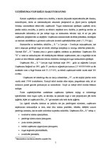 Referāts 'SIA "X" ražošanas plānošana un kontroles sistēma', 5.