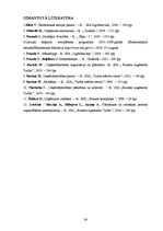 Referāts 'SIA "X" ražošanas plānošana un kontroles sistēma', 34.