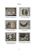 Referāts 'Profesija - rotkalis, kalējs', 14.