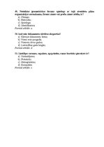 Paraugs 'Tests lietvedībā', 10.