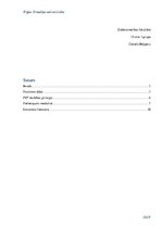 Referāts 'Pozitronu emisijas tomogrāfijas darbības principi', 2.