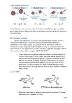 Referāts 'Pozitronu emisijas tomogrāfijas darbības principi', 4.