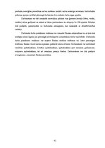 Prakses atskaite 'AS "Latvijas Krājbanka"', 41.