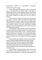 Referāts 'Mazās valstis starptautiskajā politikā', 5.