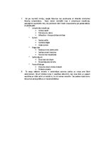 Eseja 'Zenta Mauriņa. Eseju analīze', 3.