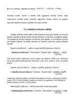 Referāts 'Mazumtirdzniecības nozares finansiālo rādītāju raksturojums', 11.