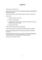 Referāts 'Spēles internetā, to klasifikācija', 3.