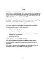 Referāts 'Spēles internetā, to klasifikācija', 5.