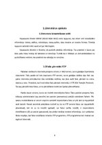 Referāts 'Spēles internetā, to klasifikācija', 6.