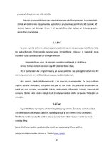 Referāts 'Spēles internetā, to klasifikācija', 8.