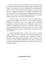 Referāts 'Spēles internetā, to klasifikācija', 19.