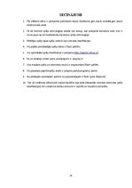 Referāts 'Spēles internetā, to klasifikācija', 24.