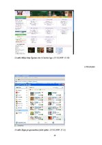Referāts 'Spēles internetā, to klasifikācija', 28.