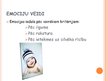 Prezentācija 'Emocijas', 8.