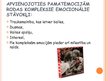 Prezentācija 'Emocijas', 13.
