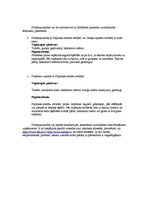 Referāts 'Pirkstiņuzkodas', 6.