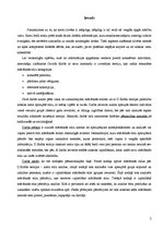 Referāts 'Mācīšanās stili un motivācija', 3.