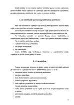 Konspekts 'Galvenās uzņēmējdarbības formas', 10.