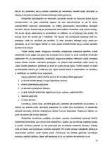 Konspekts 'Galvenās uzņēmējdarbības formas', 20.