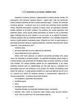 Konspekts 'Galvenās uzņēmējdarbības formas', 21.