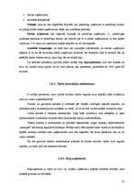 Konspekts 'Galvenās uzņēmējdarbības formas', 27.