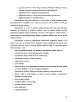 Konspekts 'Galvenās uzņēmējdarbības formas', 29.