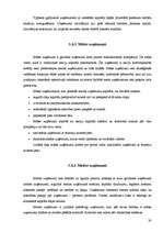 Konspekts 'Galvenās uzņēmējdarbības formas', 30.