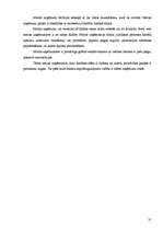 Konspekts 'Galvenās uzņēmējdarbības formas', 31.