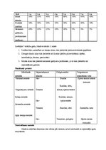 Konspekts 'Pielāgotās sporta izglītības programma', 4.