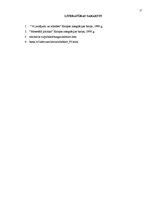 Referāts 'Euro - 21.gadsimta valūta', 17.