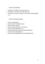 Referāts 'Āraišu arheoloģiskā muzejparka un Latvijas Nacionālā mākslas muzeja apskats', 15.