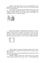 Referāts 'Bizantijas tērpu vēsture jeb mode', 7.