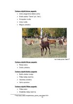 Referāts 'Atpūtas kompleksa izveides iespēju izpēte', 16.