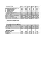 Konspekts 'Praktiskais darbs investīcijās', 4.