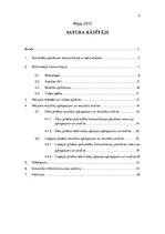 Referāts 'Liepājas pilsētas un Cēsu pilsētas multimediju komunikācijas analīze', 2.