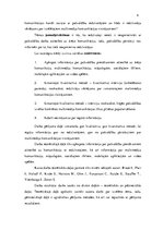 Referāts 'Liepājas pilsētas un Cēsu pilsētas multimediju komunikācijas analīze', 4.