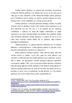 Referāts 'Liepājas pilsētas un Cēsu pilsētas multimediju komunikācijas analīze', 11.