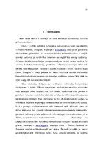 Referāts 'Liepājas pilsētas un Cēsu pilsētas multimediju komunikācijas analīze', 25.