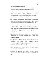 Referāts 'Liepājas pilsētas un Cēsu pilsētas multimediju komunikācijas analīze', 29.