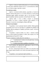 Diplomdarbs 'Latvijā dabīgo produkciju ražojošo uzņēmumu konkurētspēju ietekmējošie faktori ā', 12.