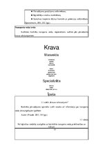 Diplomdarbs 'Latvijā dabīgo produkciju ražojošo uzņēmumu konkurētspēju ietekmējošie faktori ā', 15.
