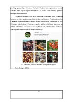 Diplomdarbs 'Latvijā dabīgo produkciju ražojošo uzņēmumu konkurētspēju ietekmējošie faktori ā', 71.