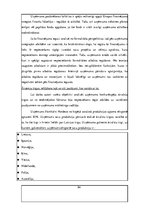 Diplomdarbs 'Latvijā dabīgo produkciju ražojošo uzņēmumu konkurētspēju ietekmējošie faktori ā', 84.