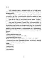 Referāts 'Slimības', 2.