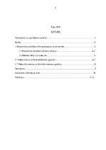 Referāts 'Ekonomikas cikliskā attīstība. Vidēji garo (vidējo) ciklu raksturojums', 2.