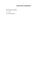 Referāts 'Ekonomikas cikliskā attīstība. Vidēji garo (vidējo) ciklu raksturojums', 3.