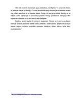 Eseja 'Kāpēc jābūt atvērtam pret citām kultūrām?', 5.