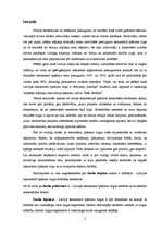 Diplomdarbs 'Latvijas nekustamā īpašuma tirgus attīstības tendences', 5.