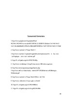 Referāts 'Atjaunojamie enerģijas resursi - Naukšēnu novads', 26.