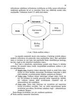 Referāts 'Latvijas muitas un robežsardzes sadarbība', 36.